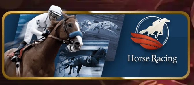 horse racing online- Alpha play zone 